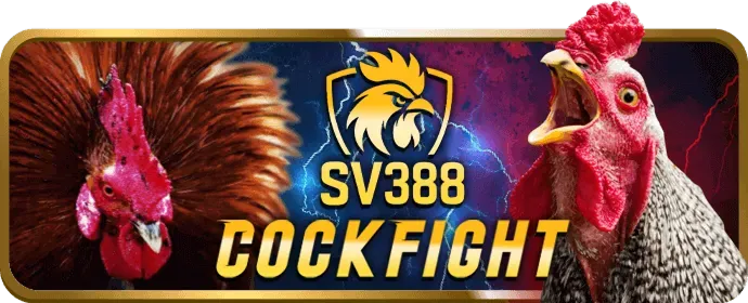 Hướng dẫn truy cập M33WIN link mới